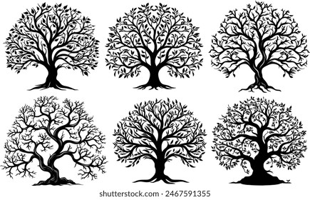 Tree silhouettes various trees on white background, Tree Brunch Silhouettes	