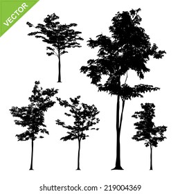 Tree silhouettes vector
