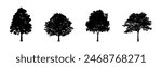 Tree silhouettes. Tree vector icons. Different tree vectors