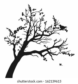 Tree silhouettes. Vector illustration.