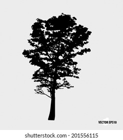 Tree silhouettes. Vector illustration.
