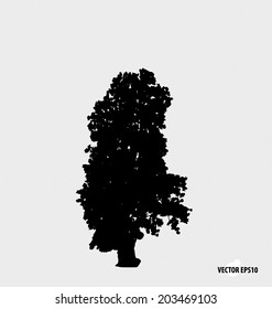 Tree silhouettes. Vector illustration.