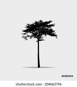 Silhouettes de árbol. Ilustración vectorial.