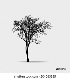 Tree silhouettes. Vector illustration.