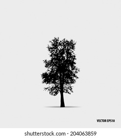 Tree silhouettes. Vector illustration.