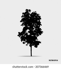 Tree silhouettes. Vector illustration.