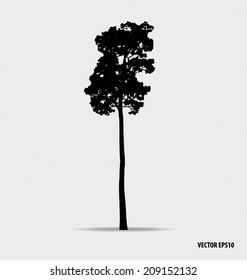 Tree silhouettes. Vector illustration.