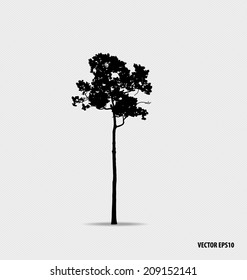 Tree silhouettes. Vector illustration.