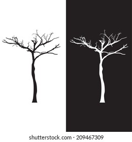 Tree silhouettes. Vector illustration.