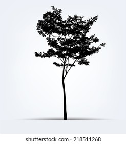 Tree silhouettes. Vector illustration.