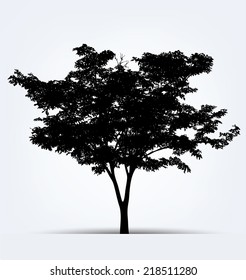 Tree silhouettes. Vector illustration.