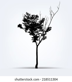 Tree silhouettes. Vector illustration.