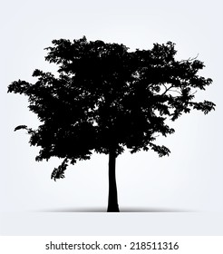 Tree silhouettes. Vector illustration.
