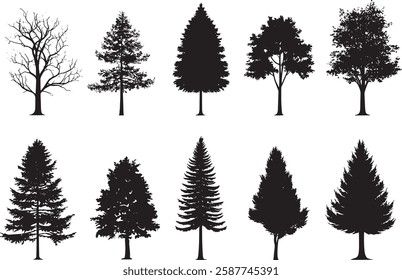 Tree Silhouettes Vector Illustration: Collection of Various Tree Types Isolated on White