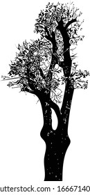 Siluetas de árbol. Ilustración vectorial. Silueta de árbol con ramas desnudas - vector