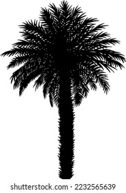 Tree silhouettes vector for websites, graphics design, printing, video making 