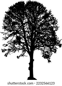 Tree silhouettes vector for websites, graphics design, printing, video making 