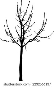 Tree silhouettes vector for websites, graphics design, printing, video making 
