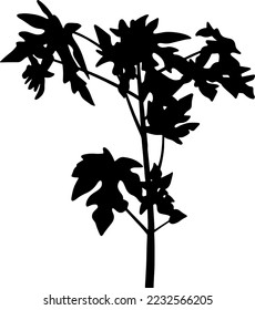 Vectores de siluetas de árbol para sitios web, diseño gráfico, impresión, producción de vídeo 