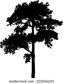 Tree silhouettes vector for websites, graphics design, printing, video making 