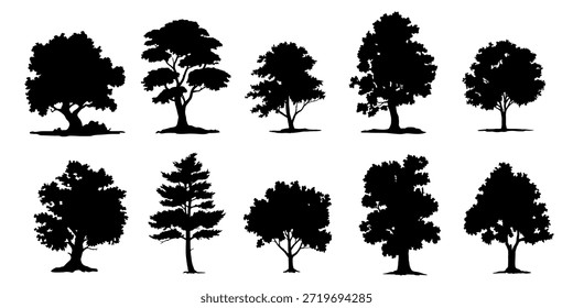 Volumen 2 de las siluetas del árbol en el fondo blanco