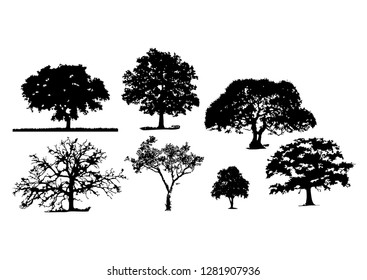 tree silhouettes white background