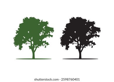 Tree silhouettes with white background and color vector