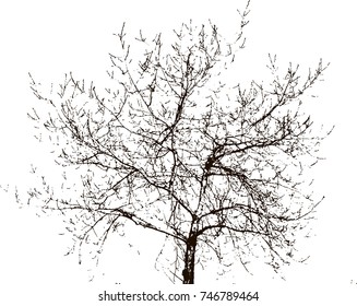 Tree silhouettes. White and black background.