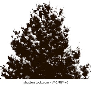 Tree silhouettes. White and black background.