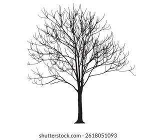 Tree Silhoutte vector artwork illustration