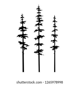 tree silouette coniferous, set of black silhouettes of conifers: Christmas trees, cypress, cedar, pine for patterns and tattoos.