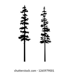 tree silouette coniferous vector set template, tattoo tribal cypress tree  nature vector, set isolated illustration, Sketch for interior design and clothing design