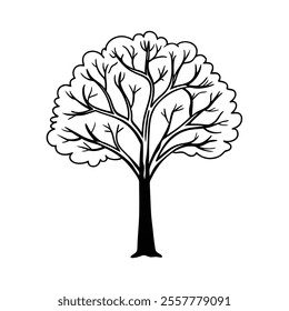 tree simple outline on white background illustration