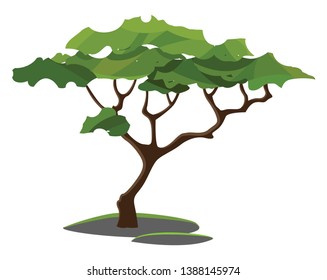 A tree and single