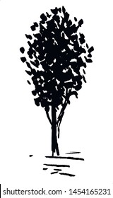 Tree. Single, hand drawn black tree, isolated on white background. Simple doodle vector illustration.