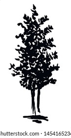 Tree. Single, hand drawn black tree, isolated on white background. Simple doodle vector illustration.