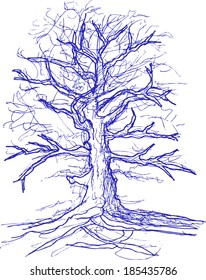 tree, sketch
