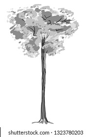 Tree sketch. Black and white drawing isolated on white background. Simple art. Can be used for card banner template. Vector illustration.