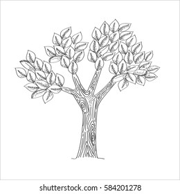 Tree Sketch black and white isolated on white background, . Freehand drawing vector illustration. 