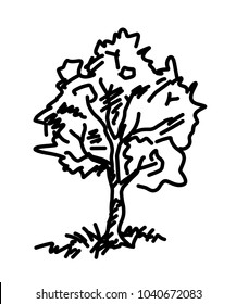 tree sketch / cartoon vector and illustration, black and white, hand drawn, sketch style, isolated on white background.