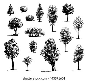 Tree Sketch drawn ink silhouettes of trees, hand drawing, set of trees and shrubs