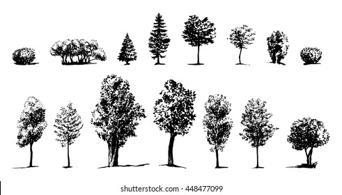 9,451 Shrubs Sketch Images, Stock Photos & Vectors 