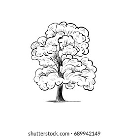 Tree sketch hand drawing. Silhouette tree vector illustration
