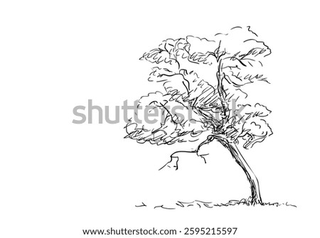 Tree sketch in a hand-drawn style, slightly leaning with a rough trunk and a dry branch protruding from its leafy crown. Black ink strokes on a white background, isolated vector illustration