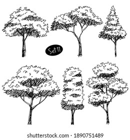 Tree Sketch : Set of doodle hand drawn architect trees. Sketch Architectural illustration landscape