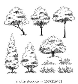 Tree Sketch : Set of hand drawn architect trees. Sketch Architectural illustration landscape