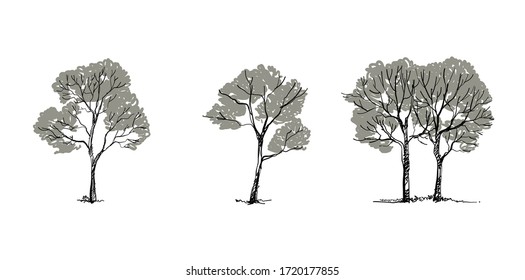 Tree sketch Side view, set of graphics  trees elements , Architecture drawing