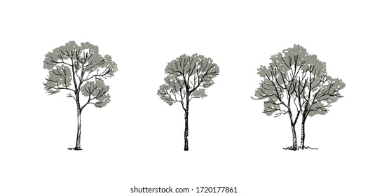 Tree sketch Side view, set of graphics  trees elements , Architecture drawing