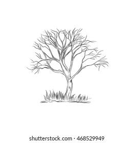 tree in sketch style, vector illustration