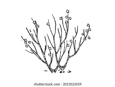 Tree sketch vector design with not many leaves